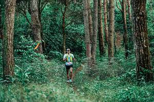 BIB: 
                            <button type="button" onclick="openModal(25238109)" class="btn btn-primary btn-sm float-right btn-popup" data-toggle="modal" data-target=".modal-high-quality">
                        <i class="fas fa-shopping-cart"></i> Add to Cart
                    </button>
                                            <button type="button" onclick="isThisMe(25238109, true)" class="btn btn-success btn-sm float-right btn-popup btn-isme hidden" data-toggle="tooltip" data-placement="bottom" title="นี่คือรูปของคุณใช่ไหม คลิกที่นี่เพื่อเอาเข้าอัลบั้ม">
                        <i class="fas fa-plus"></i> Add to album
                    </button>
                    <button type="button" onclick="isThisMe(25238109, false)" class="btn btn-warning btn-sm float-right btn-popup btn-isnotme hidden">
                        <i class="fas fa-ban"></i> Remove from album
                    </button>